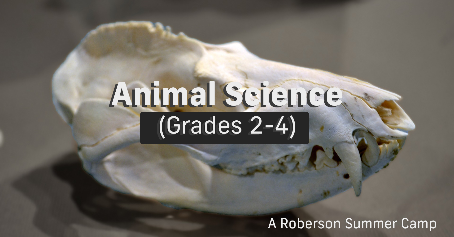 Roberson Summer Camp - Animal Science