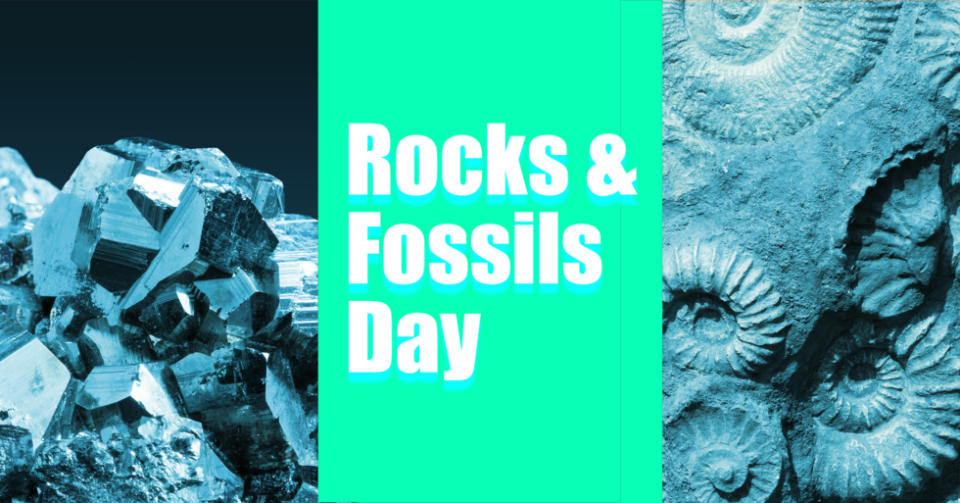 Rocks and Fossils Day Roberson